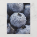 Search for blueberry postcards Organic