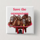 Search for orangutans badges Cute