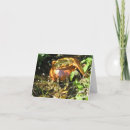 Search for irish luck cards Pot of gold