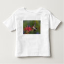 Search for male toddler tshirts bird