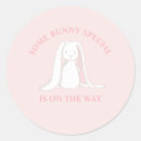 Search for baby on the way stickers Girl