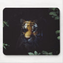 Search for siberian tigers electronics Nature