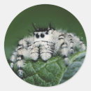 Search for large format stickers Danita delimont