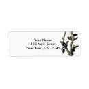 Search for woodpecker return address labels Animal
