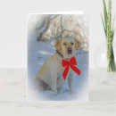 Search for labrador christmas cards Snow