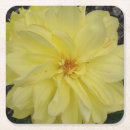 Search for macro coasters Flower