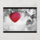 Search for dramatic postcards Black and white