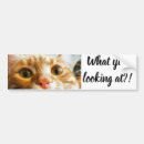 Search for labels bumper stickers Car