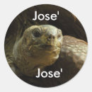 Search for cute tortoise stickers Boy
