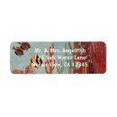 Search for reef fish return address labels Ocean