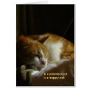 Search for contented Sleep