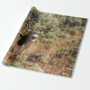 Search for wildlife wrapping paper Natural