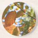 Search for autumn leaf coasters Leaves