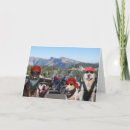 Search for mountain biker cards Bikers