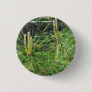 Search for needling badges Pine