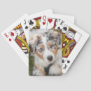 Search for australian shepherd gifts Puppy