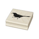 Search for mockingbird Texas state bird