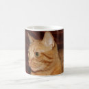 Search for orange cat coffee mugs Ginger