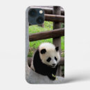 Search for baby panda iphone cases Cute