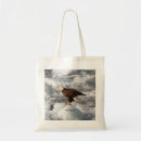 Search for bald bags Bird