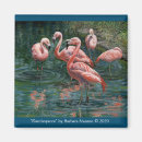 Search for flock magnets Tropical