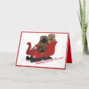 Search for chow chow cards Dogs