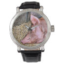 Search for pig watches Cute