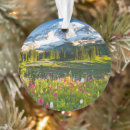 Search for mt rainier christmas tree decorations Landscape