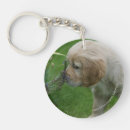 Search for stretching key rings Dog
