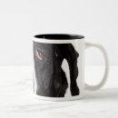 Search for harlequin great dane mugs Animal body part
