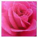 Search for candy tiles Rose