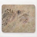 Search for side view mousepads Animals hunting