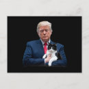 Search for funny cat postcards Election
