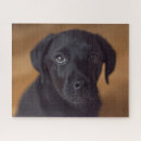 Search for black labrador puzzles Puppy