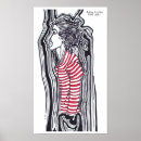Search for dreadfuls posters Dreadlocks