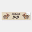 Search for rabbit bumper stickers Wildlife