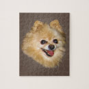 Search for pomeranian puzzles Puppies