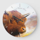 Search for highland cow clocks Bull