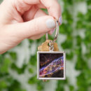 Search for remnant key rings Supernova remnants