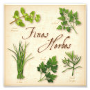Search for cooking herbs posters Chives