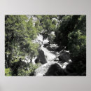 Search for natural environment posters Trees