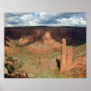 Search for state native posters Southwest