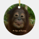Search for orangutan christmas tree decorations Primates