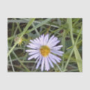 Search for green grass tissue paper Floral