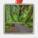 Search for olympic national park christmas tree decorations Nature