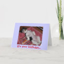 Search for cavalier king charles spaniel cards Party
