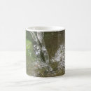 Search for algae mugs Nature