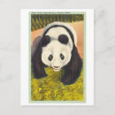 Search for zoo panda postcards Brookfield
