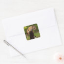 Search for squirrel stickers Wild animal