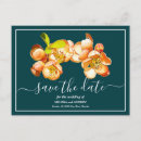 Search for teal background postcards Elegant